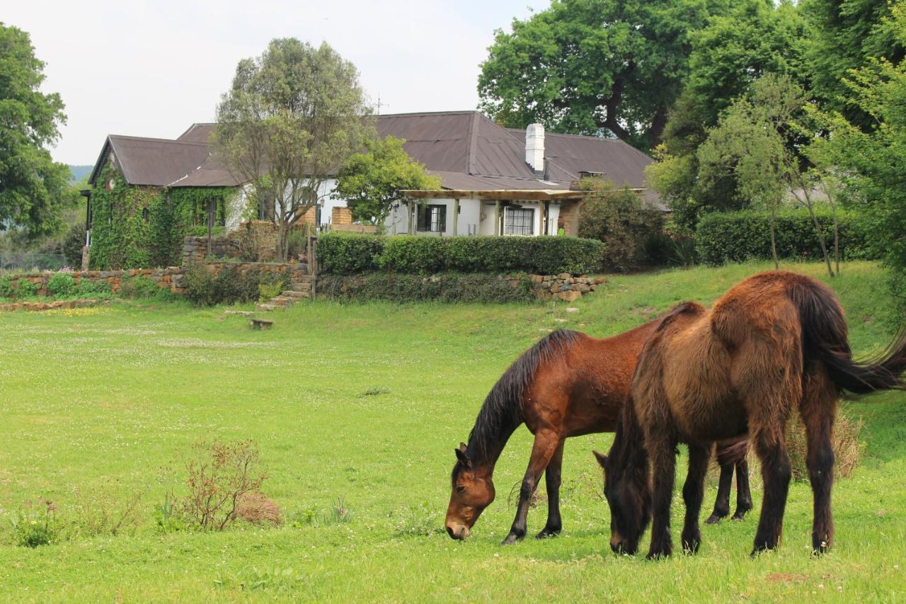 Newstead Farm - Country Cottages Curry's Post Ngoại thất bức ảnh