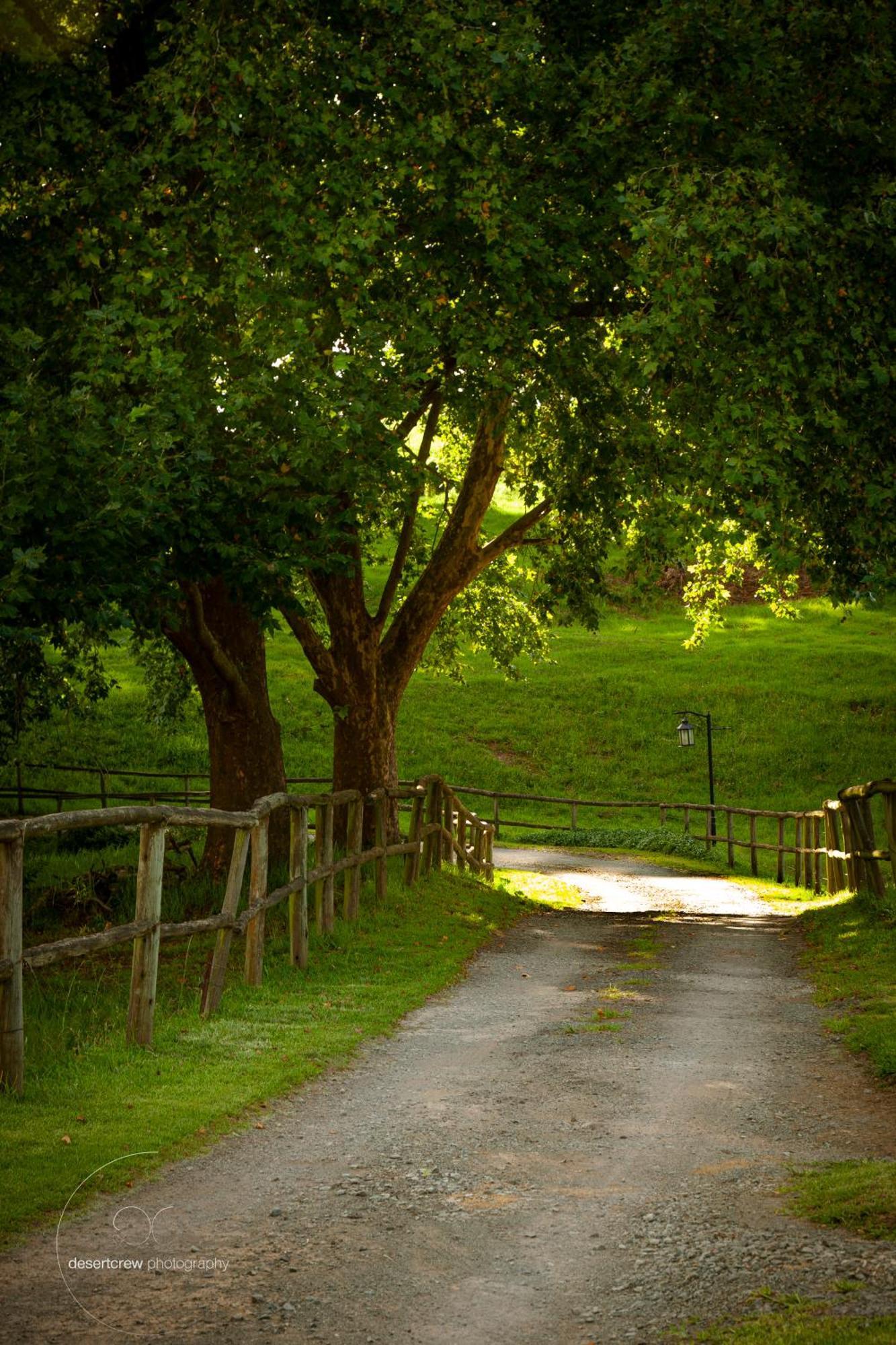 Newstead Farm - Country Cottages Curry's Post Ngoại thất bức ảnh