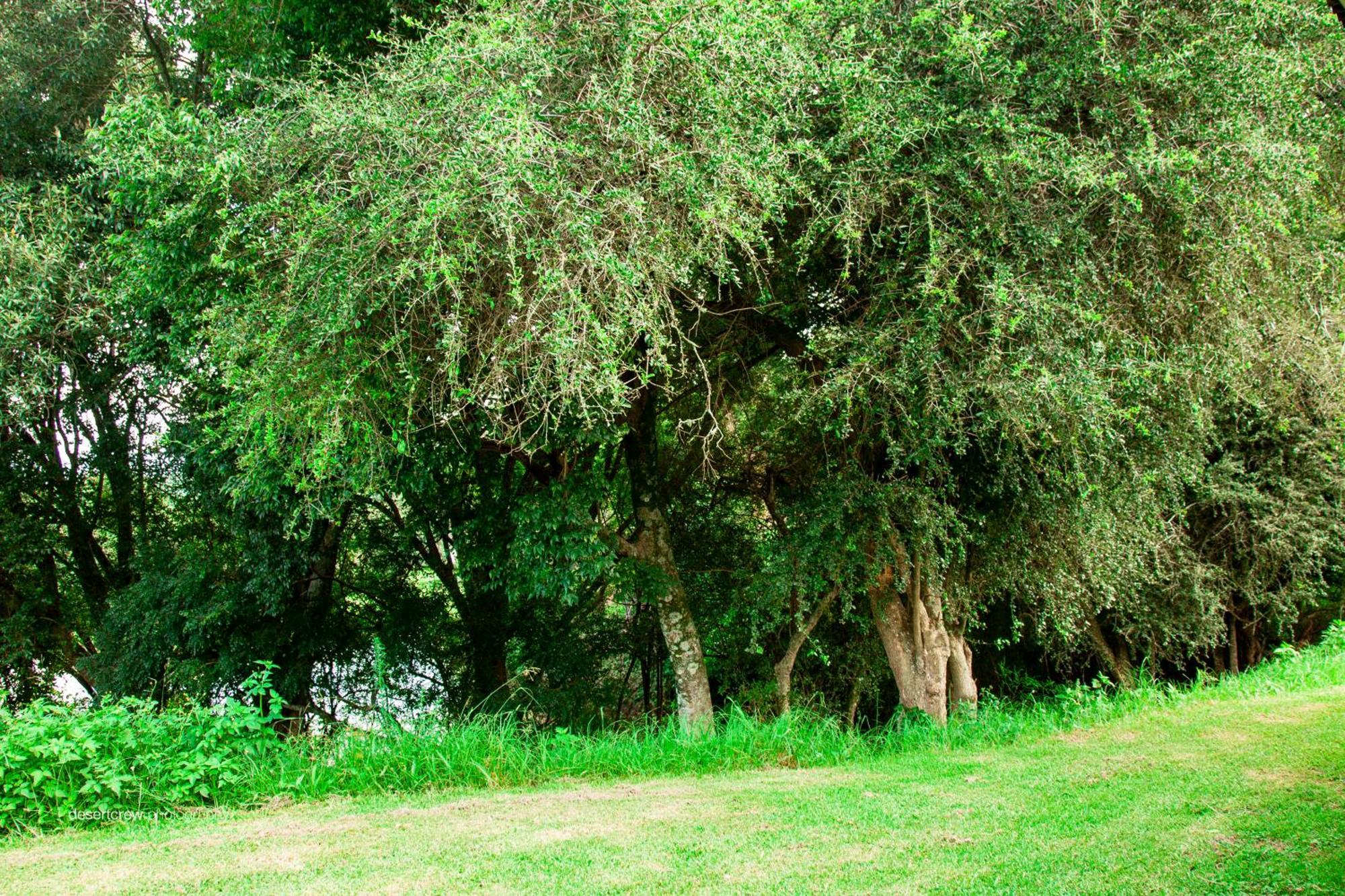 Newstead Farm - Country Cottages Curry's Post Ngoại thất bức ảnh