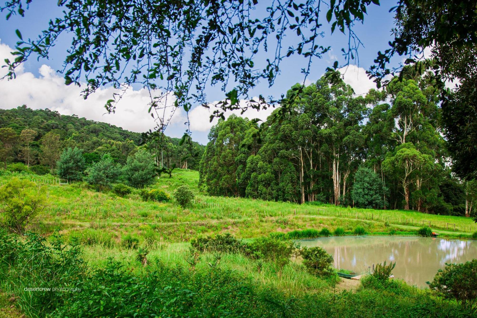 Newstead Farm - Country Cottages Curry's Post Ngoại thất bức ảnh