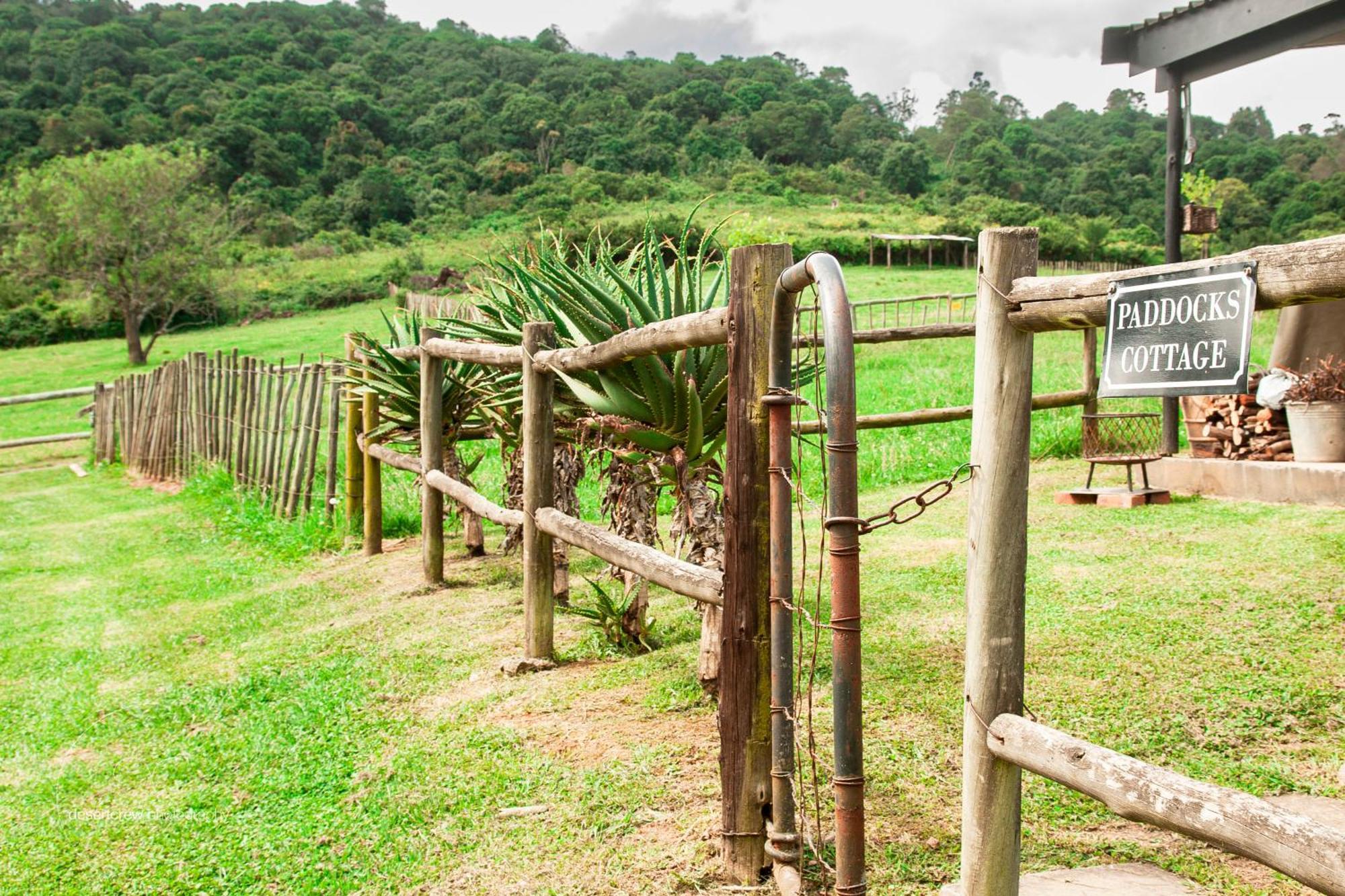 Newstead Farm - Country Cottages Curry's Post Ngoại thất bức ảnh