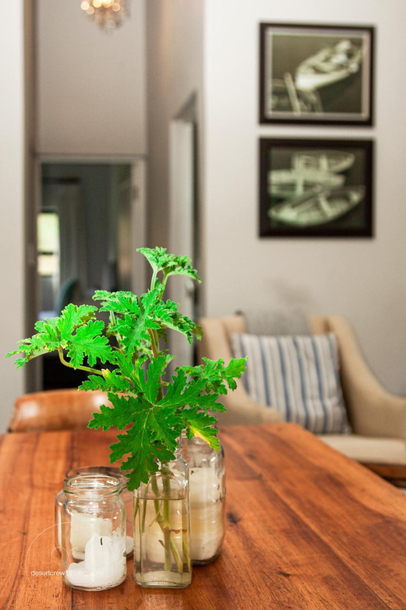 Newstead Farm - Country Cottages Curry's Post Ngoại thất bức ảnh
